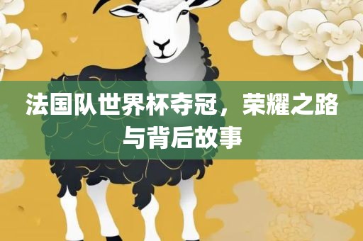 法国队世界杯夺冠，荣耀之路与背后故事
