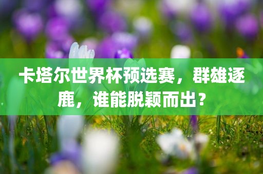 卡塔尔世界眉山市正发家政服务有限公司杯预选赛，群雄逐鹿，谁能脱颖而出？