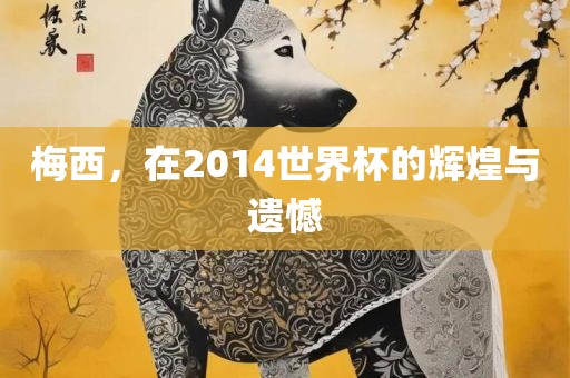 梅西，在2014世界杯的辉煌与遗憾