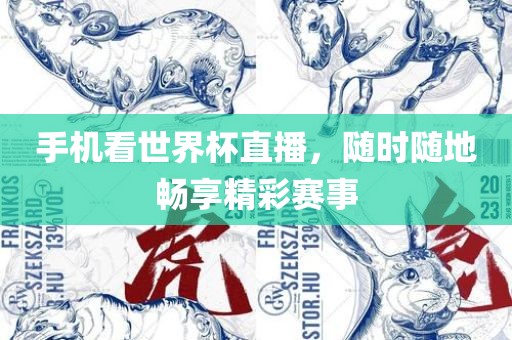 手机看世界杯直播，随时随地畅享精彩赛事眉山市正发家政服务有限公司