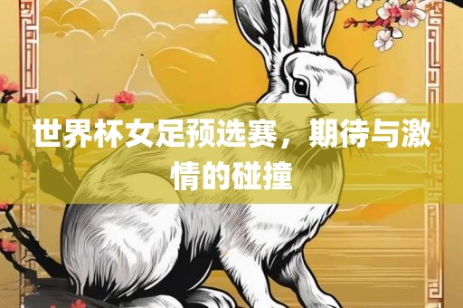 世界杯女足预选赛，期待与激情的碰撞眉山市正发家政服务有限公司