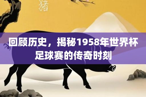 世界杯足球赛 第10页