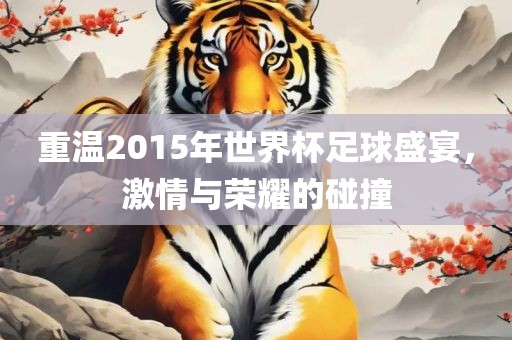 重温2015年世界杯足球盛宴，激情与荣耀的碰撞眉山市正发家政服务有限公司