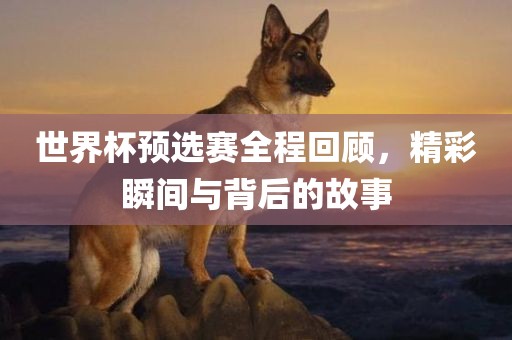 世界杯预选赛全程回顾，精彩瞬眉山市正发家政服务有限公司间与背后的故事