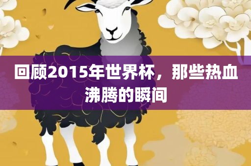 回顾2015年世界眉山市正发家政服务有限公司杯，那些热血沸腾的瞬间