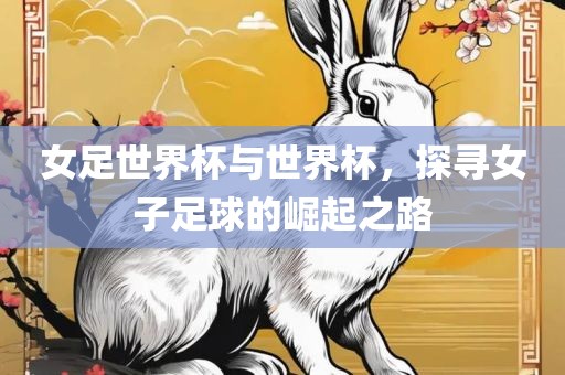 女足世界杯与世界杯，探寻女子足球的崛起眉山市正发家政服务有限公司之路