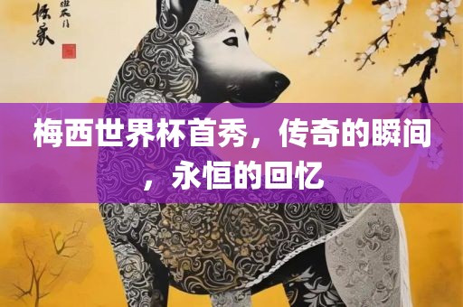 梅西世界杯首秀，传奇的瞬间，永恒的回忆