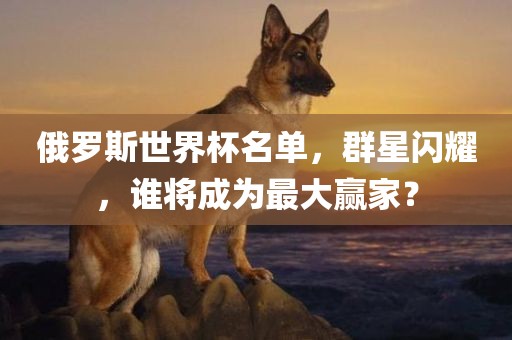 俄罗斯世界杯名单，群星闪耀，谁将成为最大赢家？眉山市正发家政服务有限公司