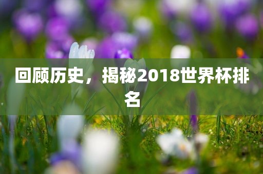 回顾历史，揭秘2018世界杯排名眉山市正发家政服务有限公司