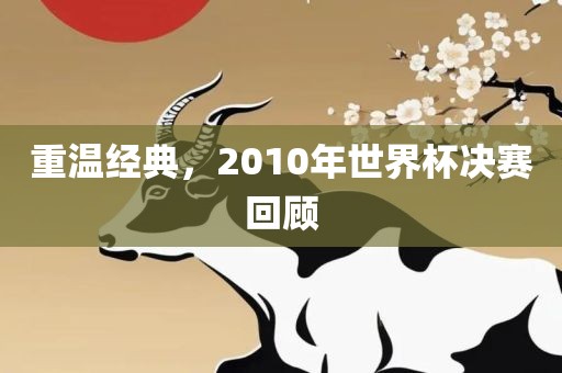 重温经典，2010年世界杯决赛回顾