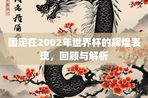 国足在2002年世界杯的辉煌表现，回顾与解析