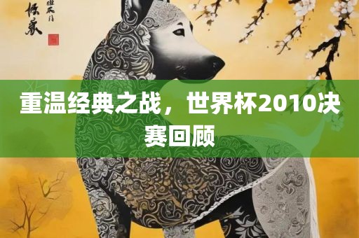 重温经典之战，世界杯2010决赛回顾眉山市正发家政服务有限公司