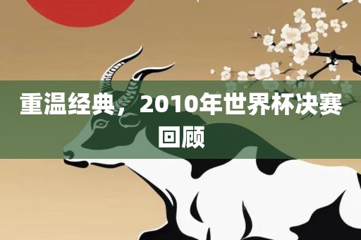重温经典，2010年世界杯决赛回顾