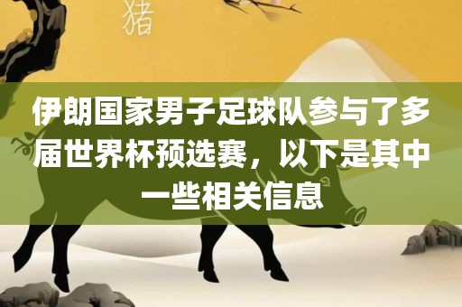伊朗国家男子足球队参与了多眉山市正发家政服务有限公司届世界杯预选赛，以下是其中一些相关信息