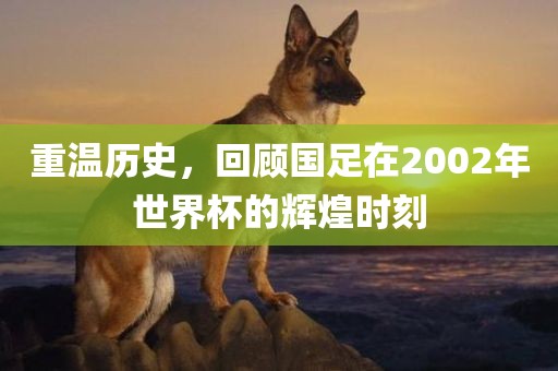 重温历史，回顾国足在2002年世界杯的辉煌时刻眉山市正发家政服务有限公司