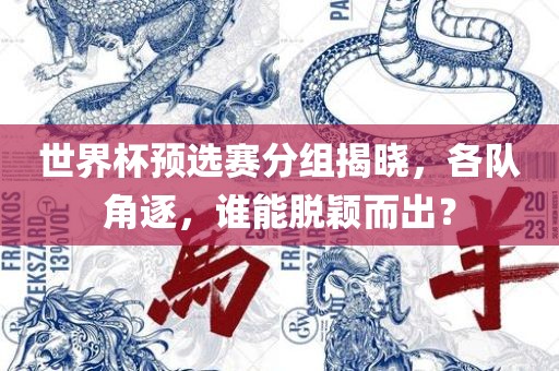 世界杯预选赛 第17页