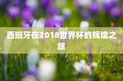 西班牙在2018世界杯的辉煌之旅