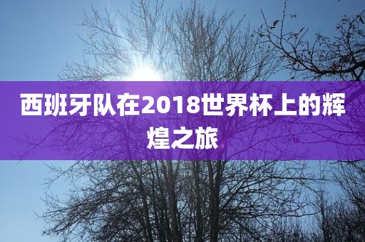 西班牙队在201眉山市正发家政服务有限公司8世界杯上的辉煌之旅