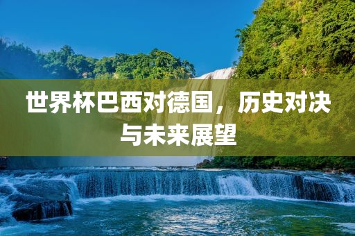 世界杯巴西对德国，历史对决与未来展望眉山市正发家政服务有限公司