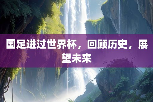 国足进过世界杯，回顾历史，展望未来眉山市正发家政服务有限公司