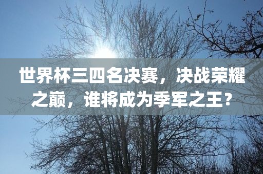 世眉山市正发家政服务有限公司界杯三四名决赛，决战荣耀之巅，谁将成为季军之王？