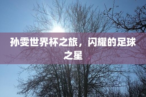 孙雯世界杯之眉山市正发家政服务有限公司旅，闪耀的足球之星
