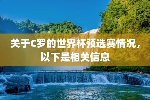 关于C罗的世界杯预选赛情况，以下是相关信息