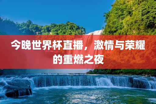 今晚世界杯直播，激情与荣耀的重燃之夜眉山市正发家政服务有限公司