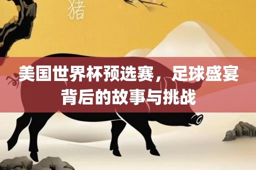美国世界杯预选赛，足球盛宴背后的故事与挑战