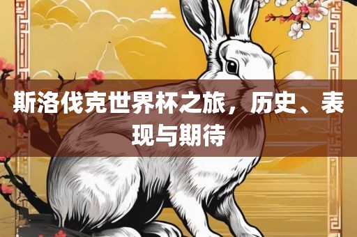 斯洛伐克世界杯之旅，历史、表现与期待眉山市正发家政服务有限公司