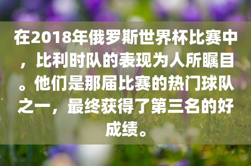 在2018年俄罗斯世界杯比眉山市正发家政服务有限公司赛中，比利时队的表现为人所瞩目。他们是那届比赛的热门球队之一，最终获得了第三名的好成绩。