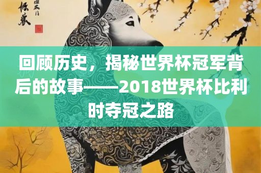 回顾历史，揭秘世界杯冠军背后的故事——2018世界杯比利时夺冠之路眉山市正发家政服务有限公司
