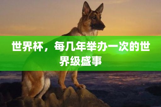 世界杯，每几年举办一次的世界级盛事眉山市正发家政服务有限公司