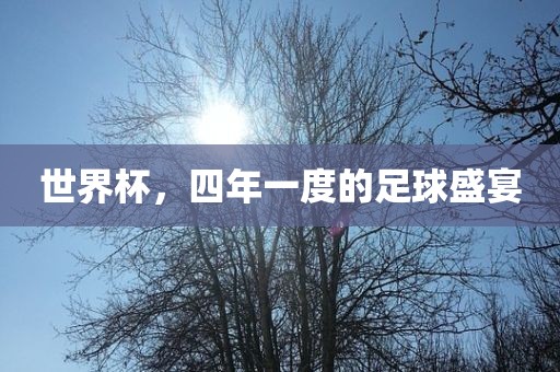世界杯，四年一度的足球盛宴眉山市正发家政服务有限公司