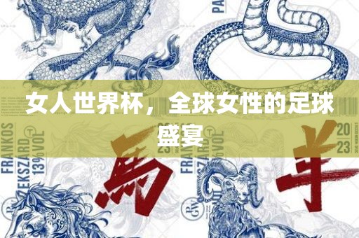 女人世界杯，全球女性的足球盛宴眉山市正发家政服务有限公司