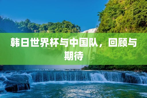 韩日世界杯与中眉山市正发家政服务有限公司国队，回顾与期待