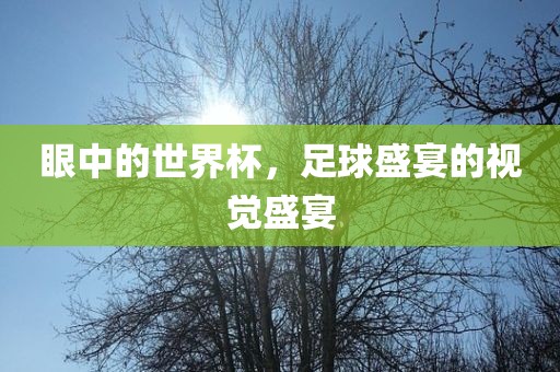 眼中的世界杯，足球盛宴的视觉盛宴眉山市正发家政服务有限公司