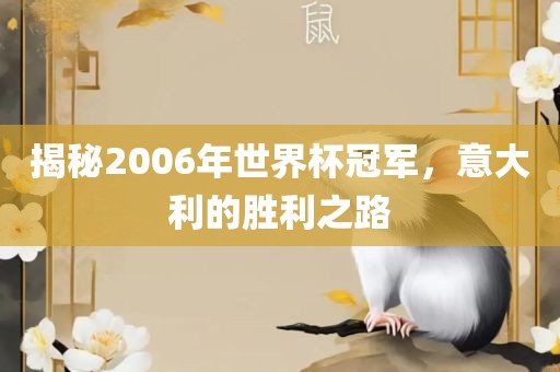 揭秘2006年世界杯冠军，意大利的胜利之路