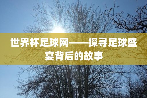 世界杯足球网——探寻足球盛宴背后的故事眉山市正发家政服务有限公司
