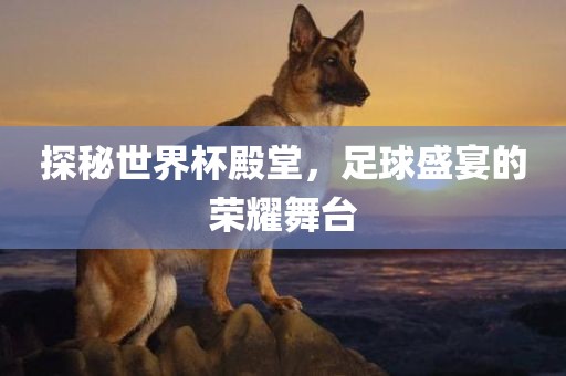 探秘世界杯殿堂，足球盛宴的荣耀舞台眉山市正发家政服务有限公司