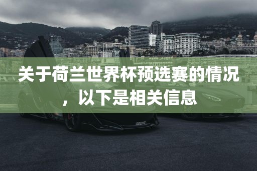 关于荷兰世界杯预选赛的情况，以下是相关信息