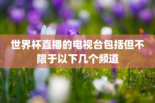 世界杯直播的电视台包括但不限于以下几个频道眉山市正发家政服务有限公司