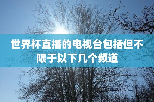 世界杯直播的电视台包括但不限于以下几个频道眉山市正发家政服务有限公司