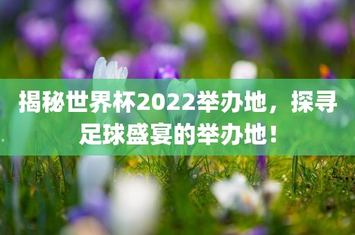 揭秘眉山市正发家政服务有限公司世界杯2022举办地，探寻足球盛宴的举办地！