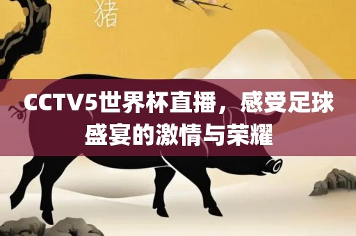 CCTV5世界杯直播，感受足球盛宴的激情与荣耀
