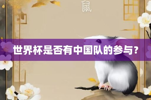 世界杯是否有中国队的参与？眉山市正发家政服务有限公司