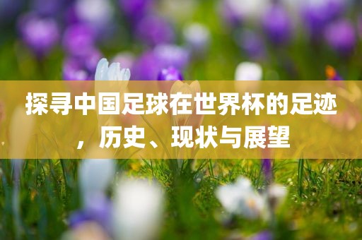 探寻中国足球在世界杯的足迹，历史、现状与展望