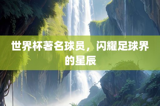 世界眉山市正发家政服务有限公司杯著名球员，闪耀足球界的星辰