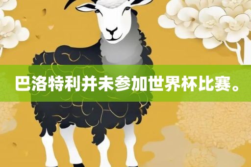 巴洛特利并未参加眉山市正发家政服务有限公司世界杯比赛。