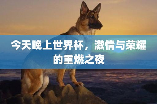 今天晚上世界杯，激情与荣耀的重眉山市正发家政服务有限公司燃之夜